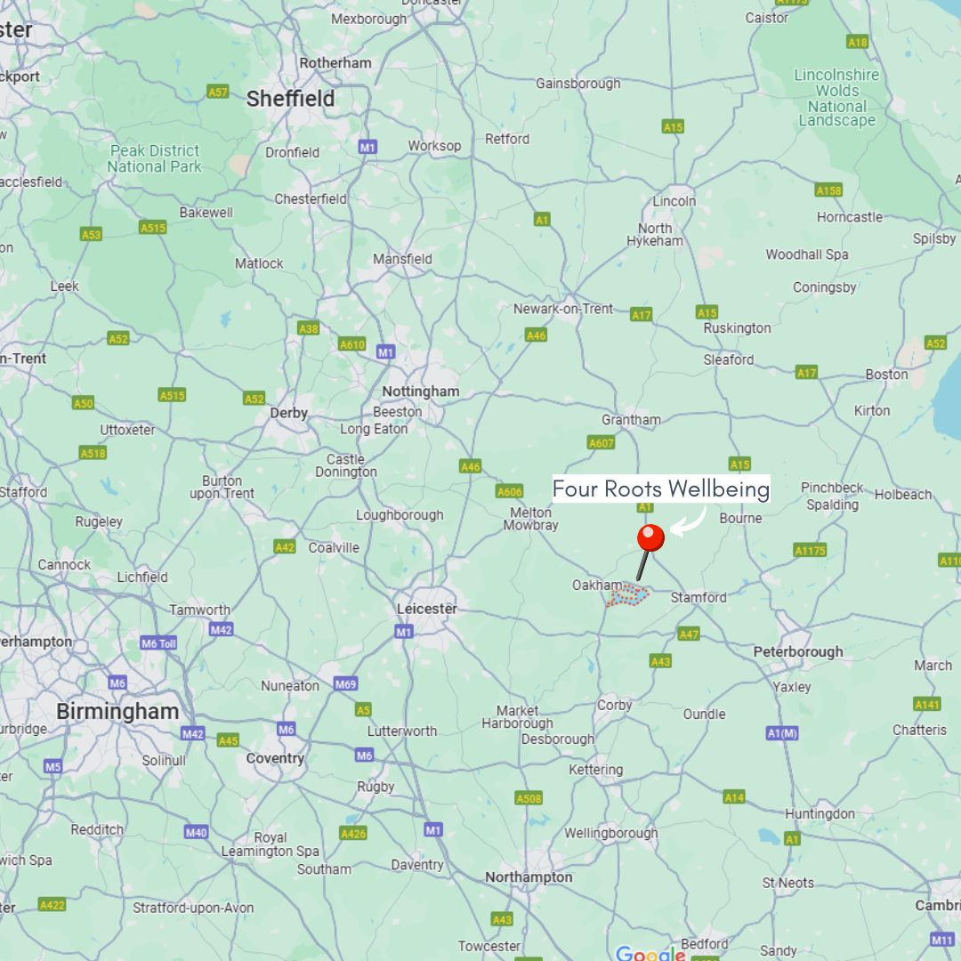 Road map with Four Roots pinned