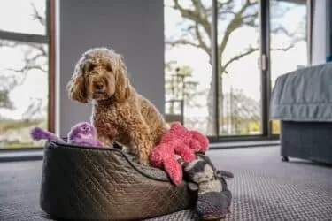 PHOTO-2021-09-04-19-09-38