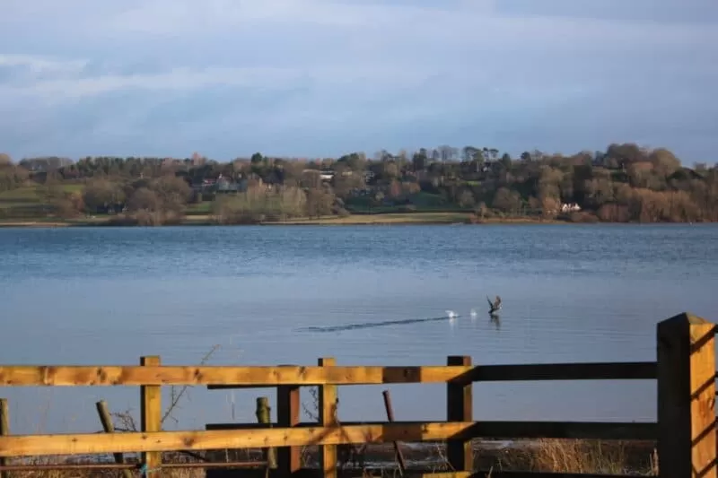 PHOTO-2021-05-08-12-55-42