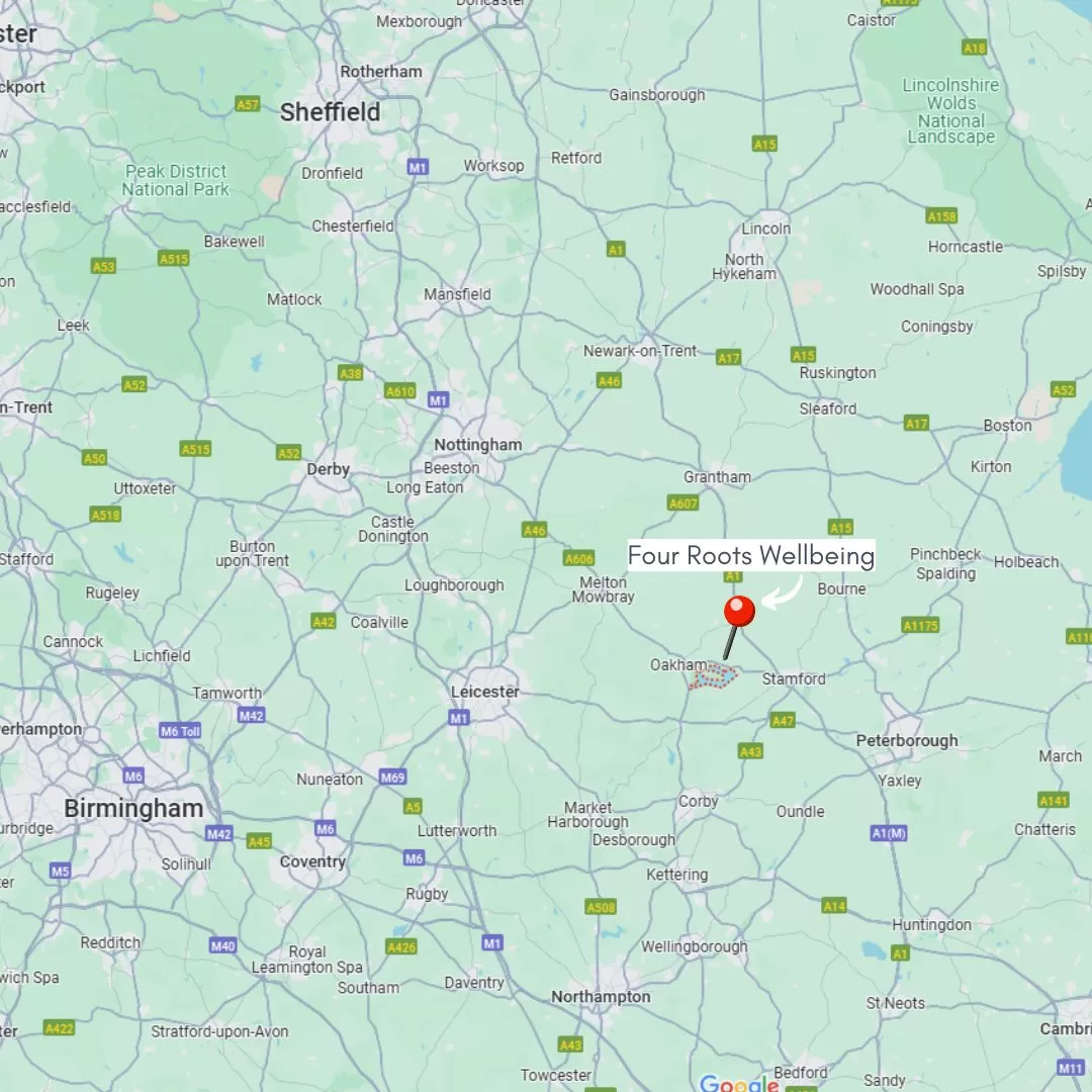 Road map with Four Roots pinned